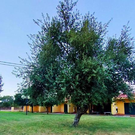 Nuraghe Ruiu Camping & Bungalow Norbello Exterior photo