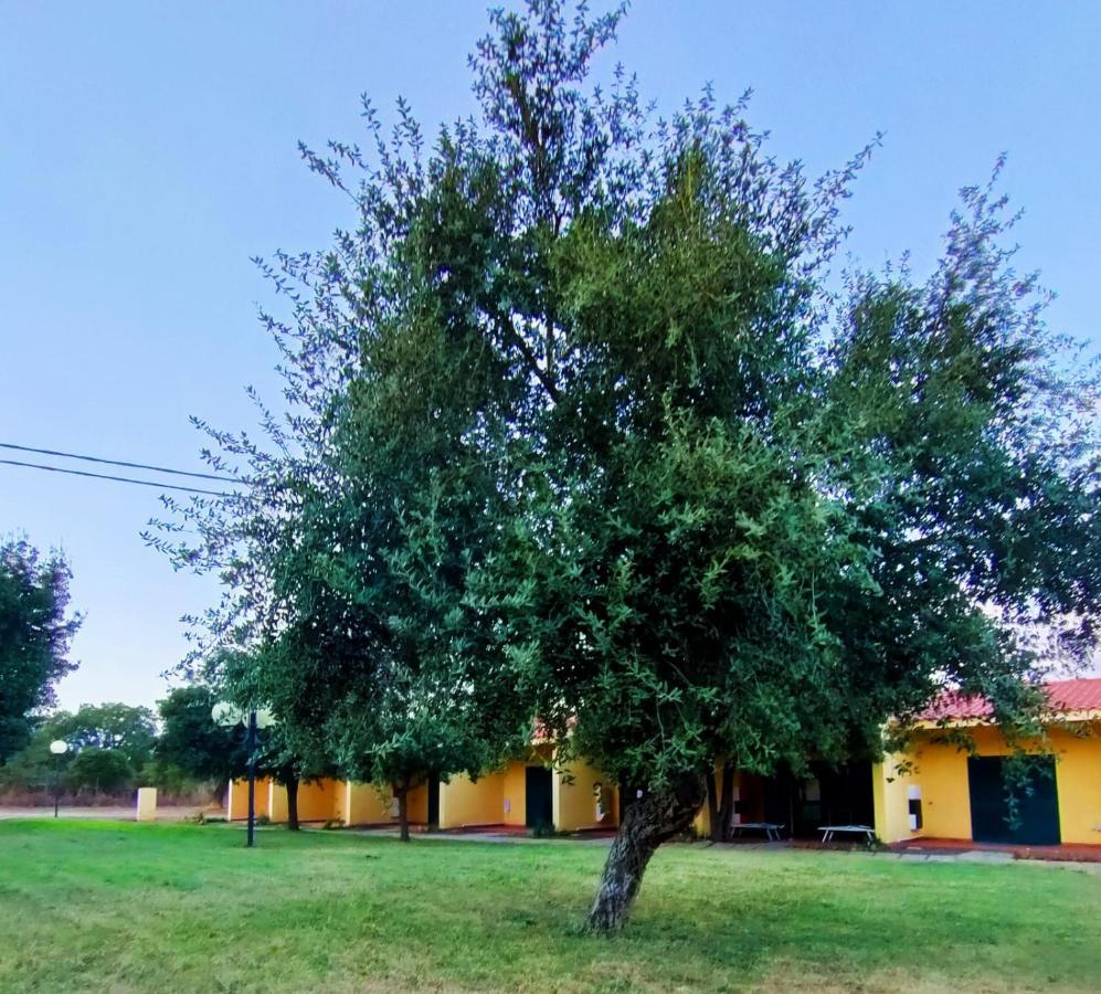 Nuraghe Ruiu Camping & Bungalow Norbello Exterior photo